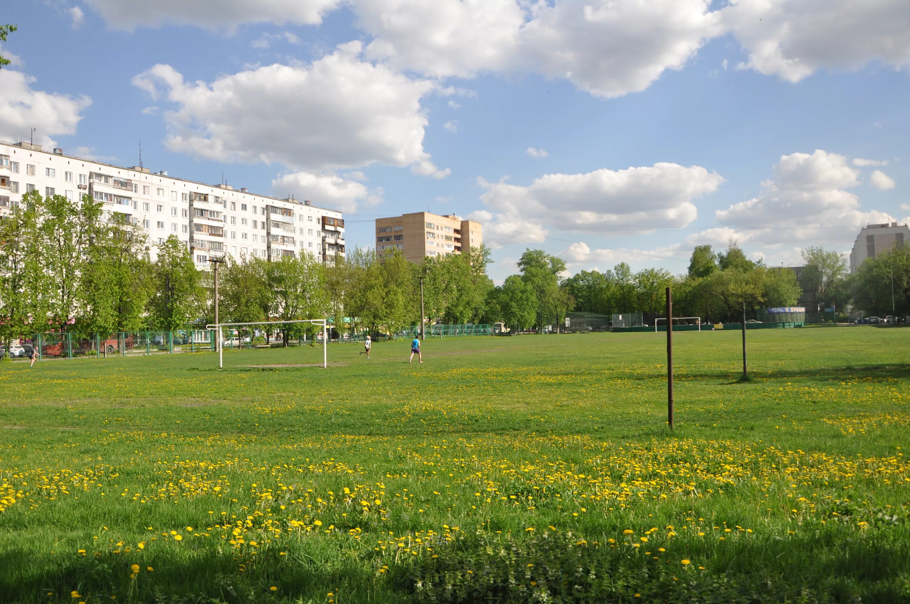 Стадион балашиха. Стадион криогенмаш балашиха. Манеж метеор балашиха. Балашихинский стадион метеор в ссср. Стадион в балашихе в школе.