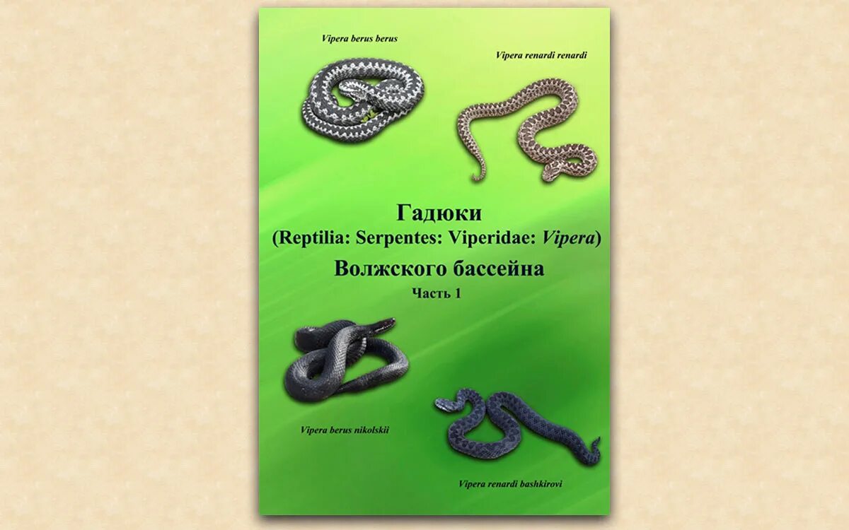 Гадюка толстой книга. А Н толстой гадюка. Систематическое положение гадюки обыкновенной.