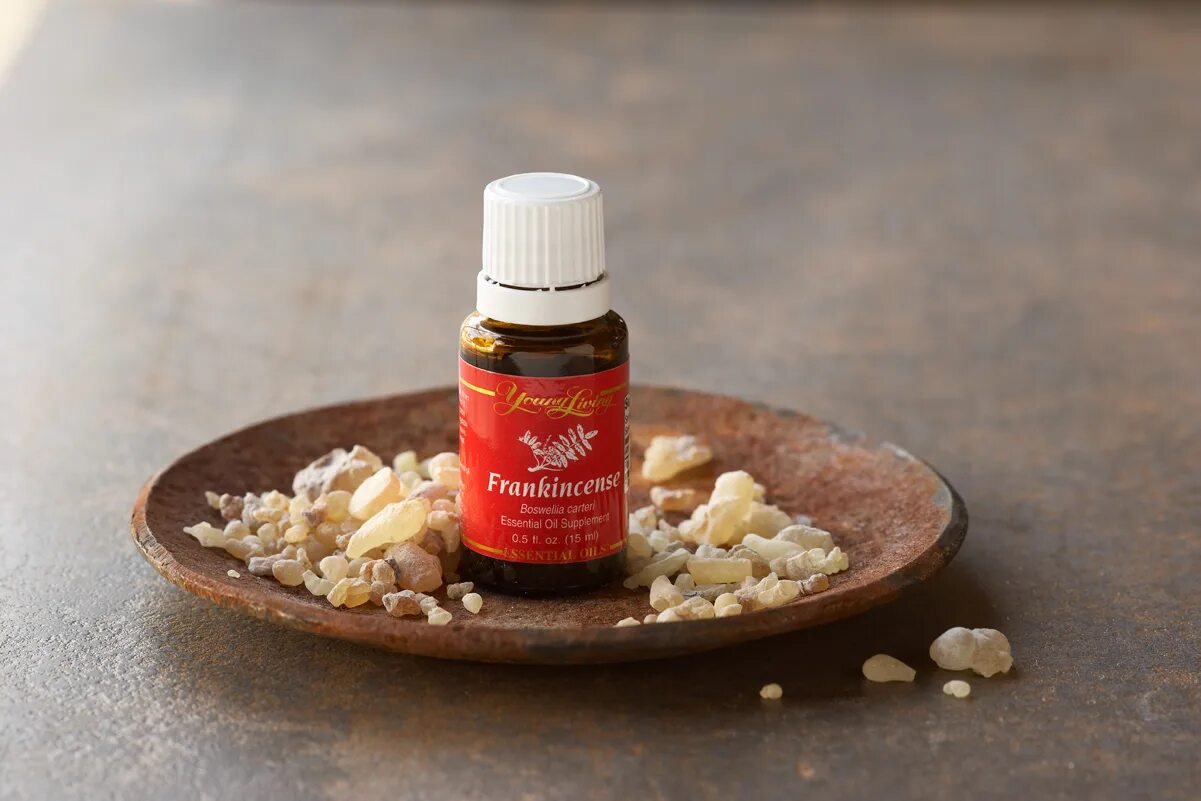 Ароматная смола с аравийского полуострова. Young Living эфирные масла Frankincense. Ладан young Living. Ладан ДОТЕРРА. Ладан эфирное масло.