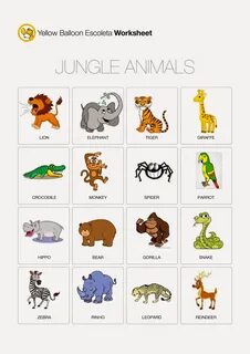 Jungle Animal Worksheets Preschool