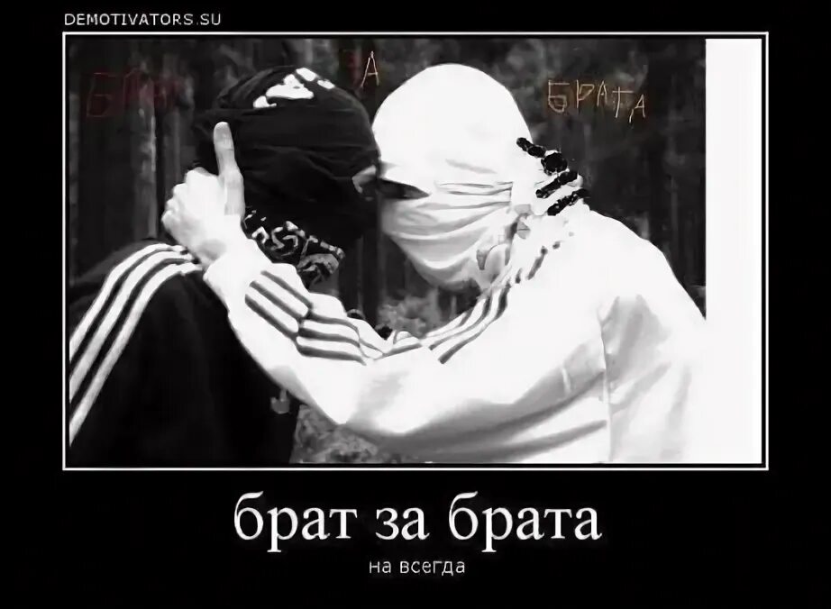 Брат за брата шиморо. Брат за брата шиморо