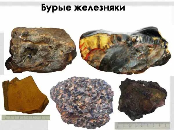 лимонит железняк. лимонит железняк. бурых железняков. болотная руда лимонит. бурых железняков.