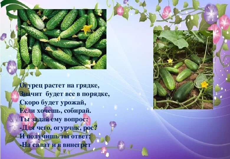 Огурец. Огурцы растут на грядке. Стихотворение про огурец. Стих про огурец для детей. Песня про огурчики