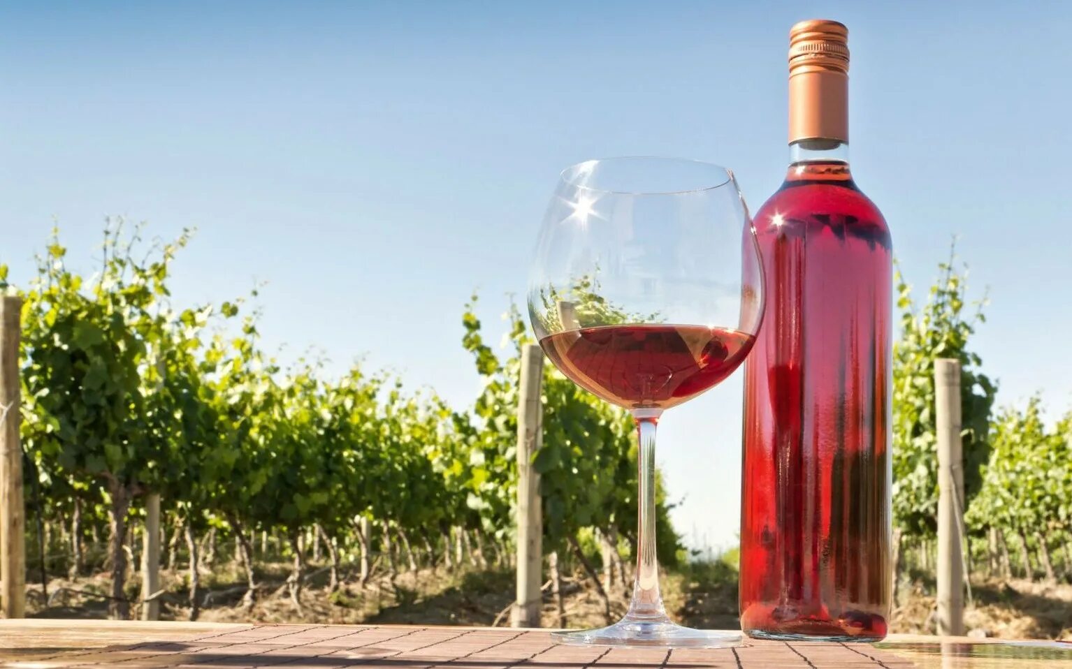 Вино красивые фото. Вино Gunko Winery, Rose. Розовые вина. Бокал розового вина. Прованс вино.