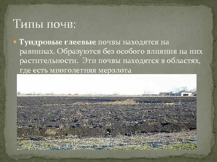 Формирование тундрово глеевых почв. Тундра глеевые почвы характеристика. Природная зона тундрово глеевых почвах. Тундрово глеевые почвы почвенный профиль. Тундра глеевые типы почвы.