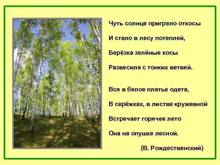 Пригрело солнце предложения. Чуть солнце пригрело откосы. описание березы. чуть солнце пригрело откосы и стало в лесу потеплей. солнце пригревает.