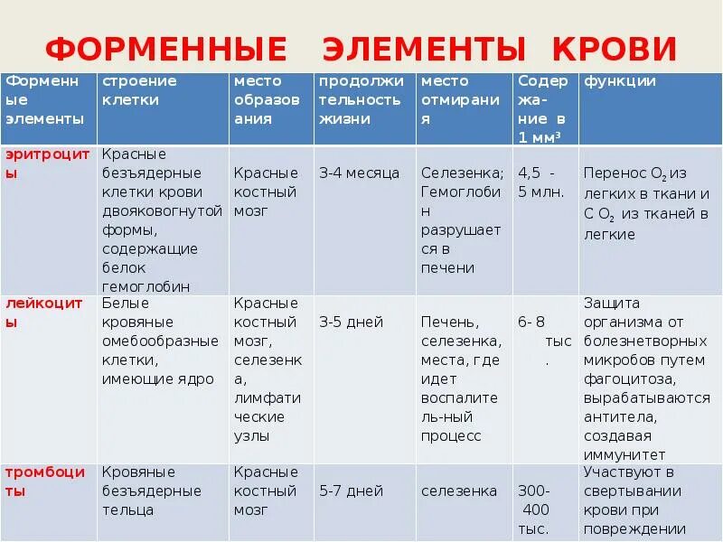 Наличие ядра человека. Форменные элементы крови таблица лейкоциты. Состав и функции форменных элементов крови. Характеристика и строение форменные элементы крови. Элементы крови и их функции.