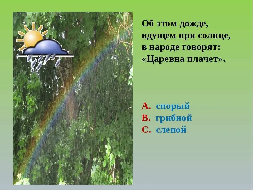 Рассказ о Дожде 3 класс. Доклад про дождь 3 класс. Дождик для презентации. Рассказ о слепом Дожде.