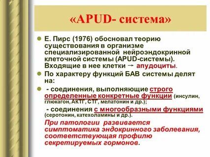 Апуд система