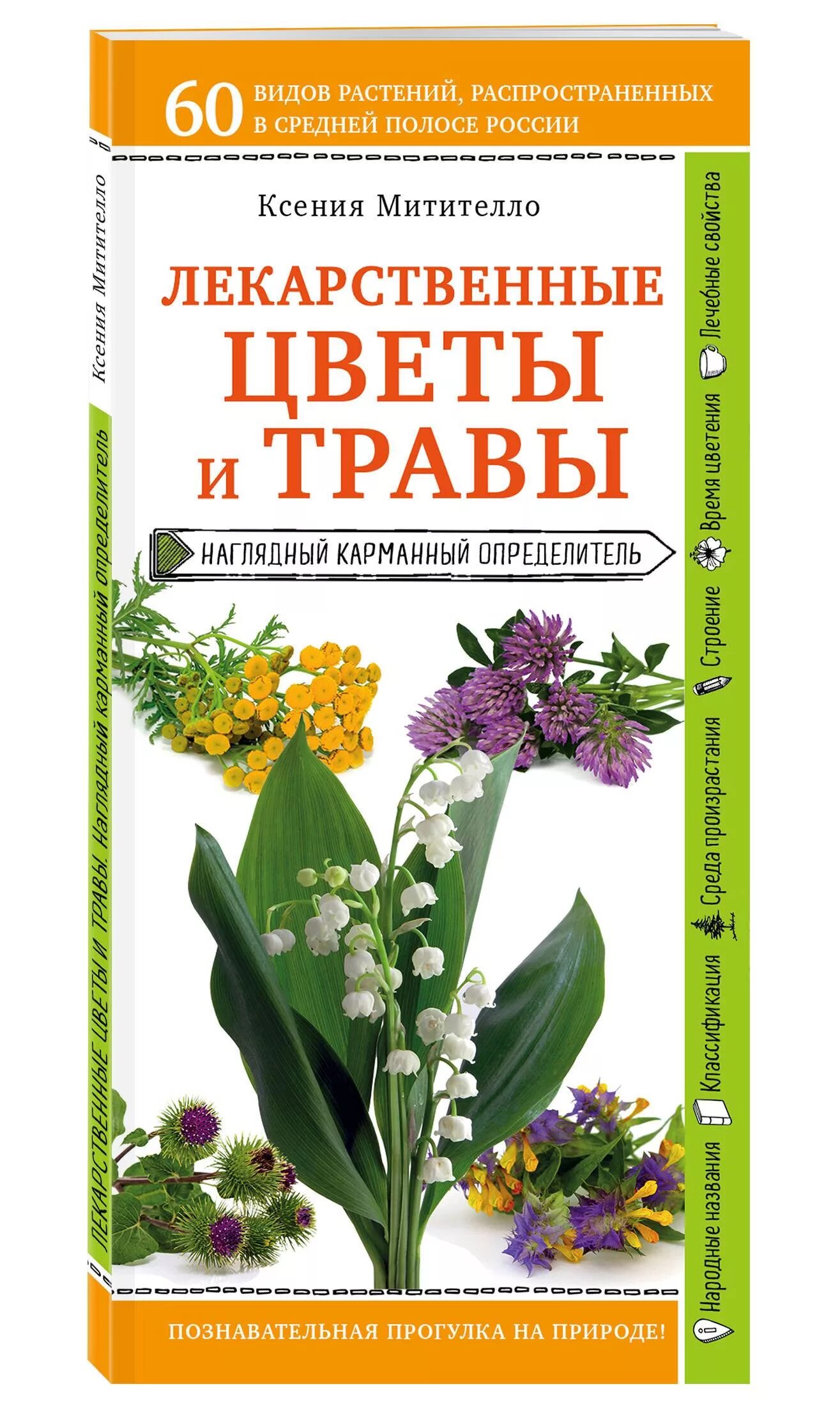 Книги про травы. Лекарственные растения. Книга лекарственные травы. Лекарственные цветы. Определитель лекарственные травы.