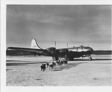C 1950