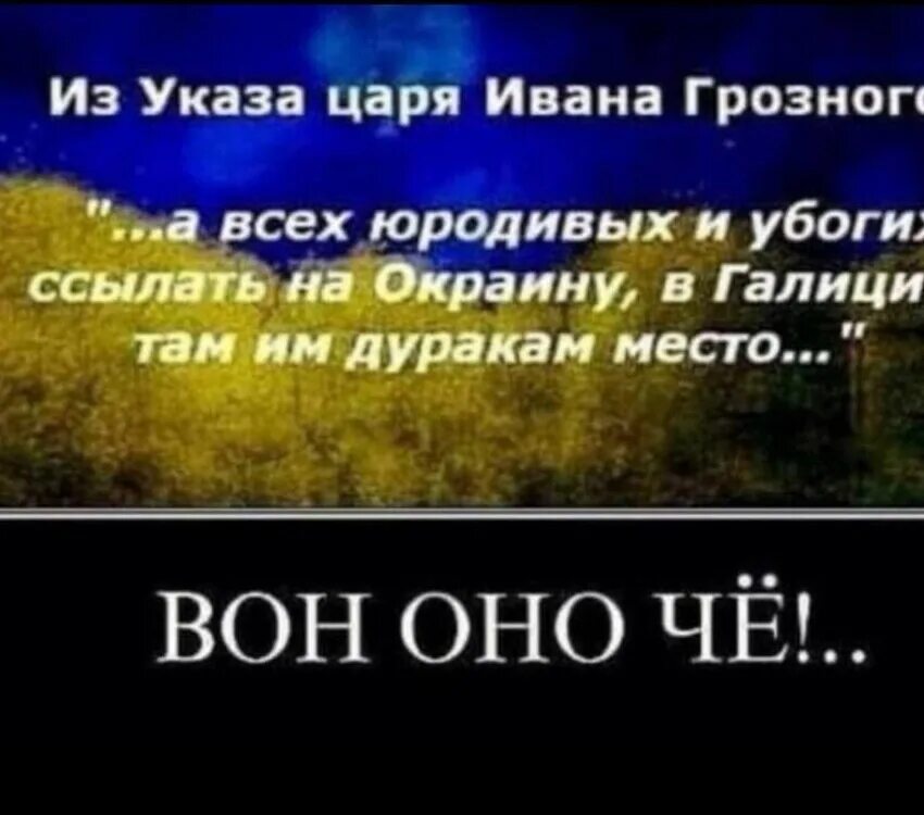 Указ ивана грозного о юродивых. Указ ивана грозного о юродивых. Патриот карикатура. А всех юродивых и убогих ссылать. Указ ивана грозного о юродивых.