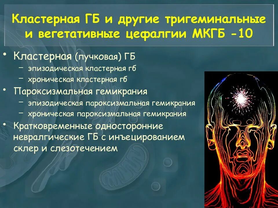 Цефалгия что это такое у взрослых. Тригеминальные цефалгии. тригеминальная вегетативная цефалгия. кластерная гб и другие тригеминальные вегетативные цефалгии. кластерная цефалгия.