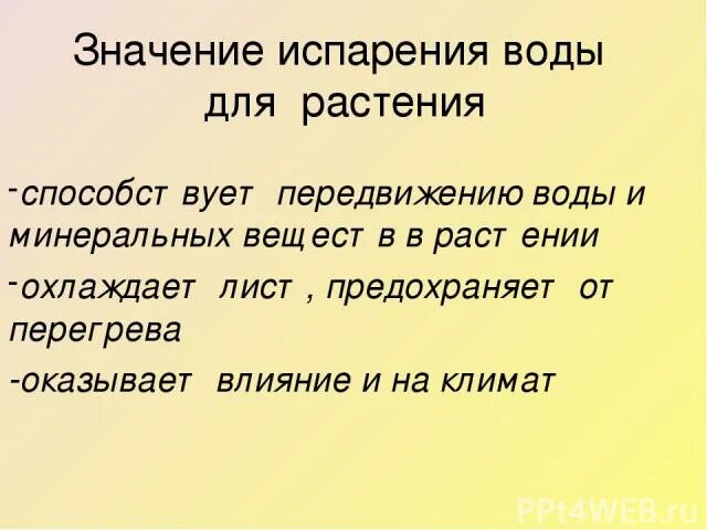 Значение испарения воды. Значение испарения воды для растений. Значение испарения для растений.