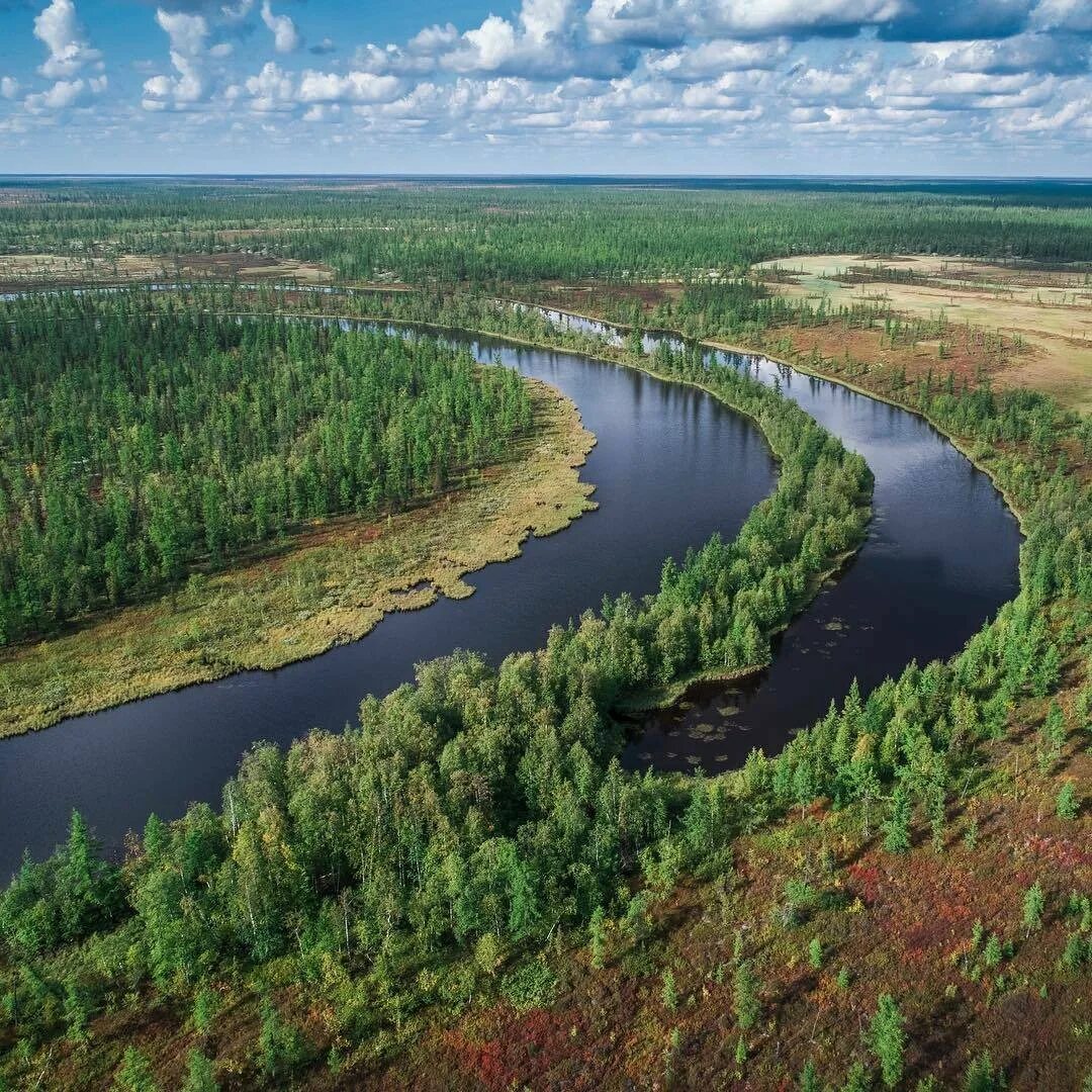 Река Пур ЯНАО. Лето тундра новый Уренгой. Тундра полуостров Ямал. Река Пур новый Уренгой.