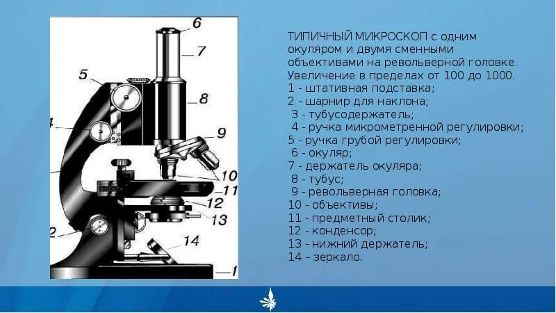 Сообщение о микроскопе