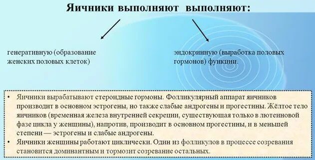 Большие яичники что это значит. Что такое поликистоз яичников у женщины. Фолликулярная киста яичника. Функциональные кисты яичников. Яичник анатомия.
