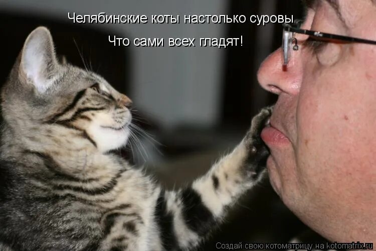 Арабская кошка игра моя говорящая. Talking angela 2012. Про говорящую кошку. Коты для разговоров. Веселые коты.