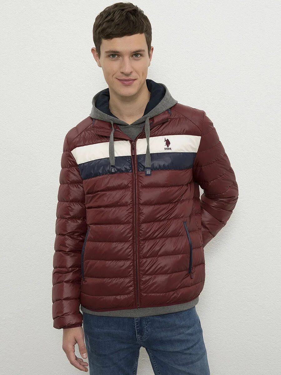 Зимняя куртка u. Куртка белая u s polo мужская. Куртка u s polo assn. S. Куртка us polo assn мужская зимняя.