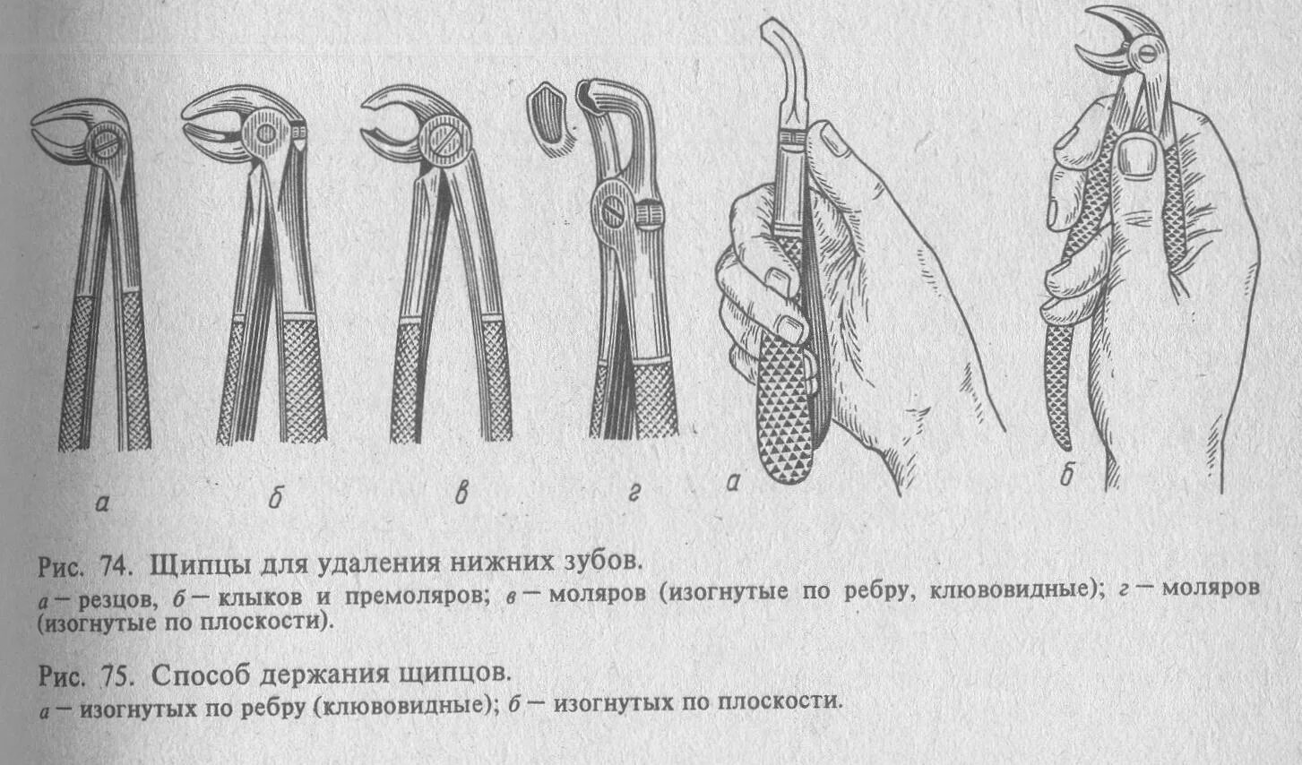 Когда в марте удалять зубы. Классификация щипцов для удаления зубов верхней челюсти. Щипцы для удаления резцов, Клыков и премоляров нижней челюсти. Щипцы хирургические стоматологические классификация. Щипцы для удаления зубов верхней челюсти части.