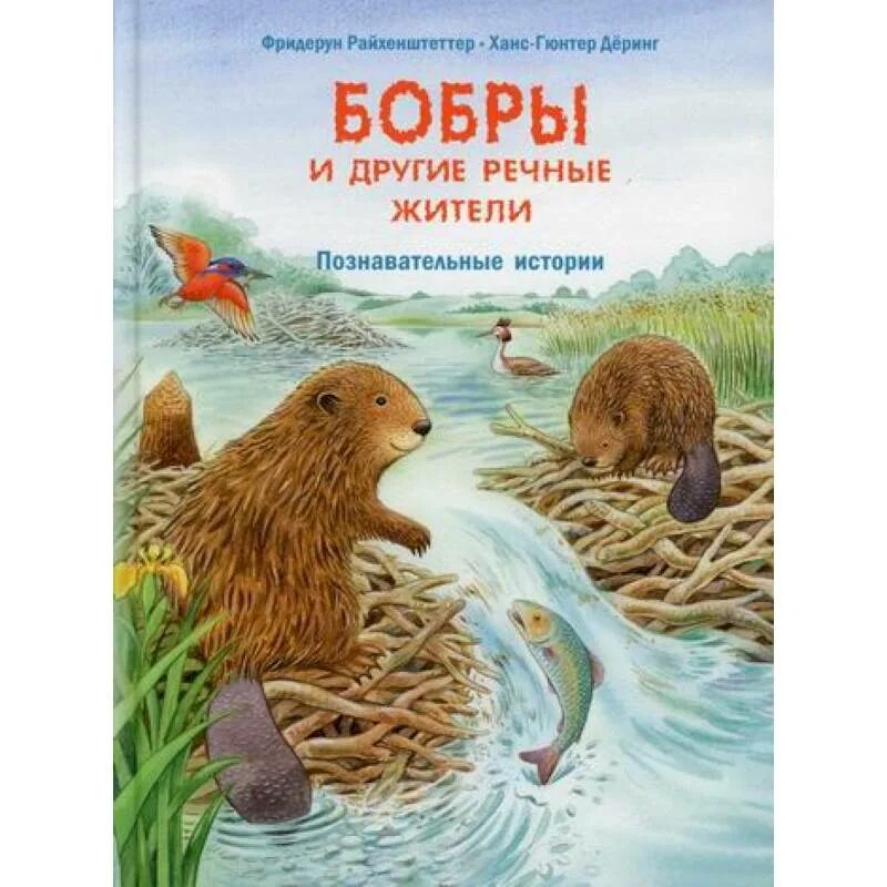 Бобровая книги. Бобр с книгой. Детские книги про бобра. Бобровая книги. Бобровый пруд сладков.