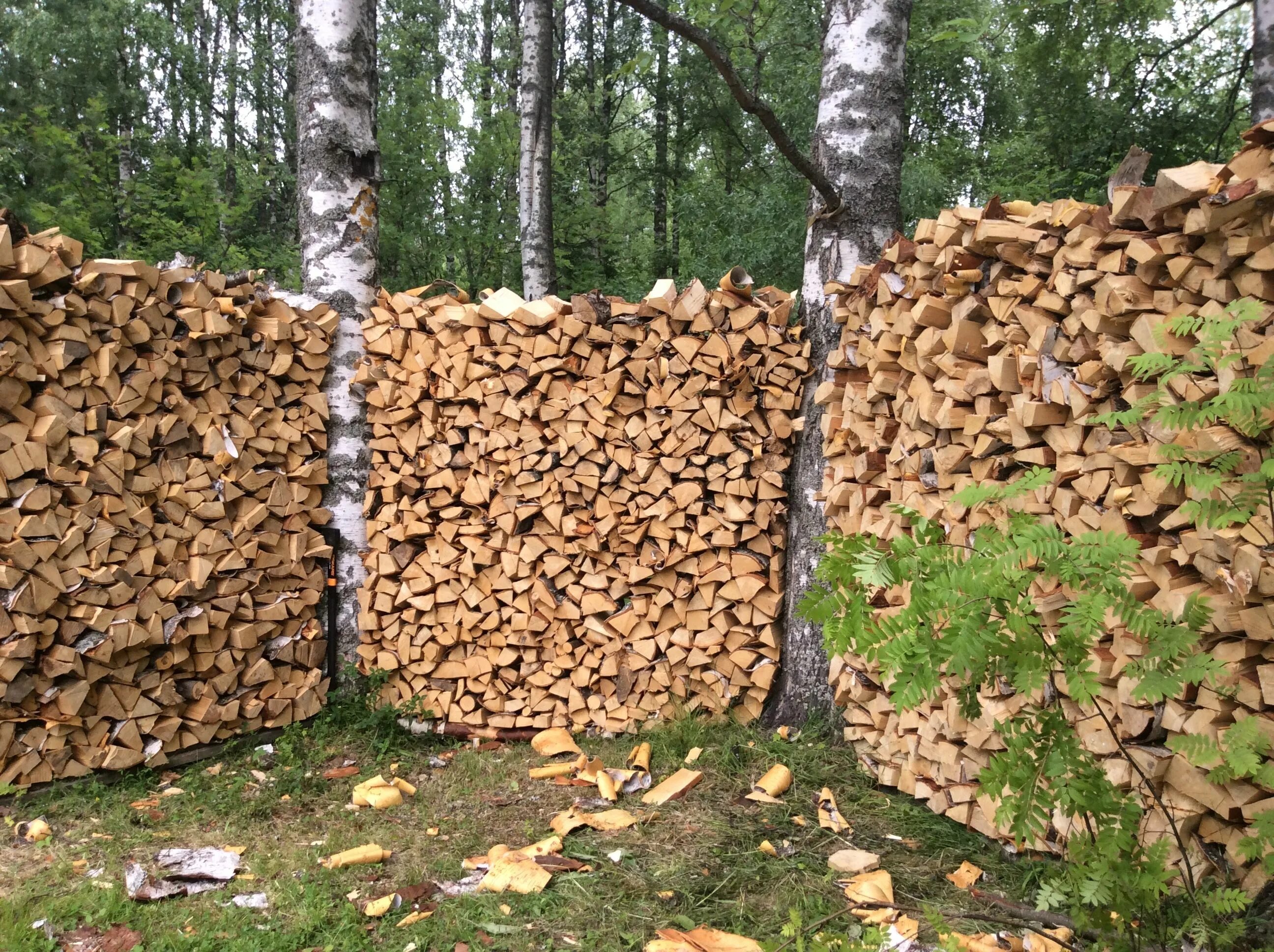 Плотно собирать. Забор из дров. Стена из поленьев. Стена из дров. Дом из дров.