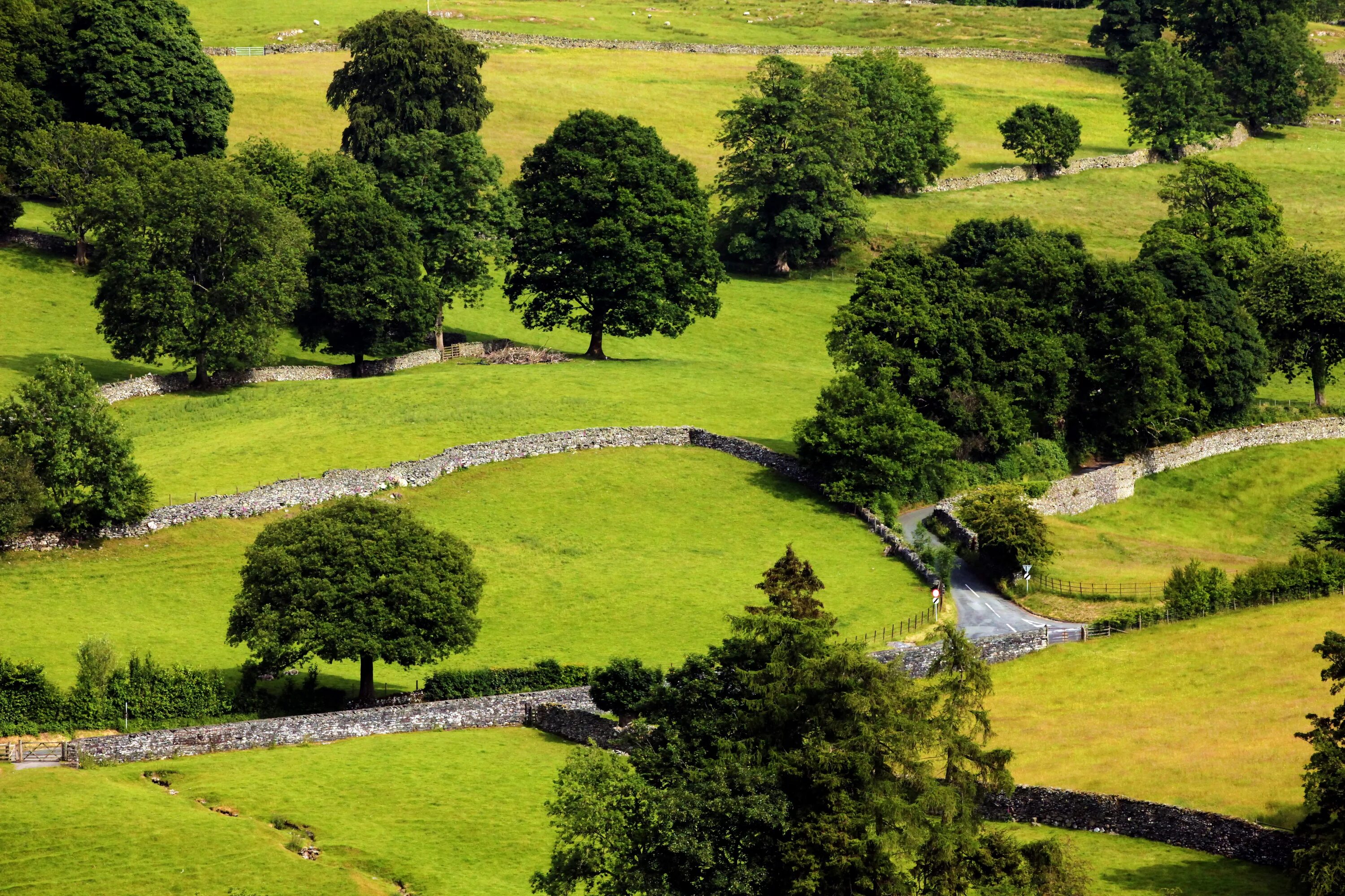 английского пейзажный парк лоррен. британия природа. сэрхоул англия пейзажи. English nature. уиндермир англия осень.
