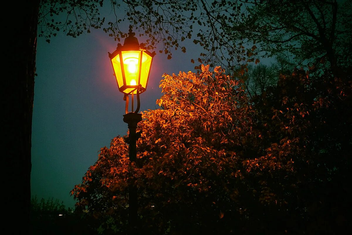 Вечер свет фонаря. Красивые фонари. Фонари на улицах города. Уличный фонарь. Красивый уличный фонарь.