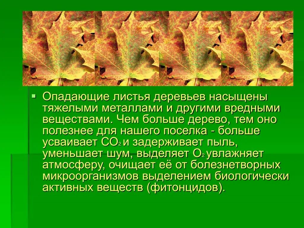 Польза листьев. Польза упавших листьев. Вредные вещества осенью в листьях. Что содержится в листьях деревьев.