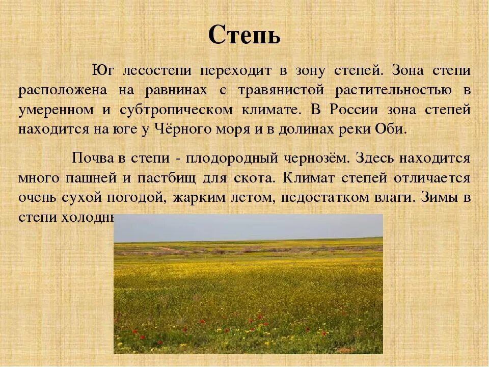 Конспект зоны степей