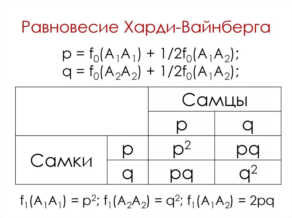 Равновесие Харди-Вайнберга. Закон генетического равновесия Харди-Вайнберга. Формула Харди Вайнберга задачи с решением. Генетическое равновесие Харди Вайнберга. Закон равновесия харди вайнберга