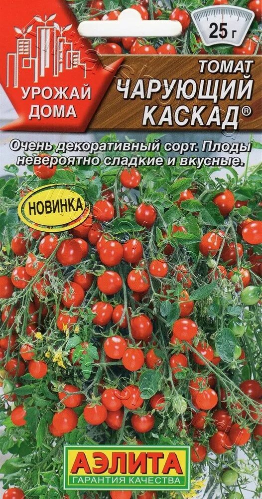 Балконные томаты черри. Томат чарующий Каскад Гавриш.