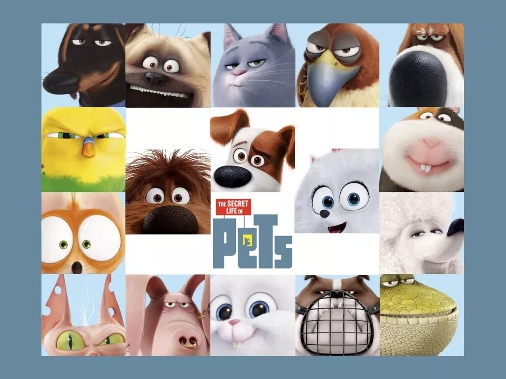 Тайная жизнь домашних животных Макс. The Secret Life of Pets 1. Тайная жизнь домашних животных 2. Secret Life of Pets герои. Pets max