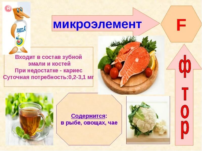 Источники Минеральных веществ в продуктах. Микроэлементы в организме. Роль микроэлементов в питании. Витамины и Минеральные вещества.