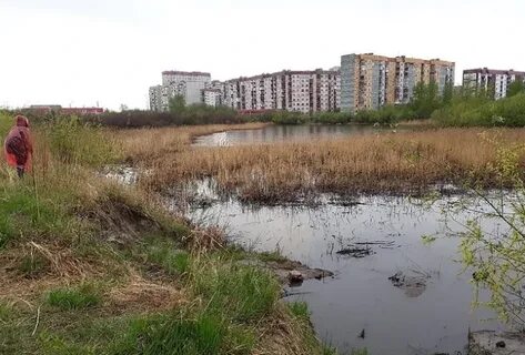 Цыганское озеро