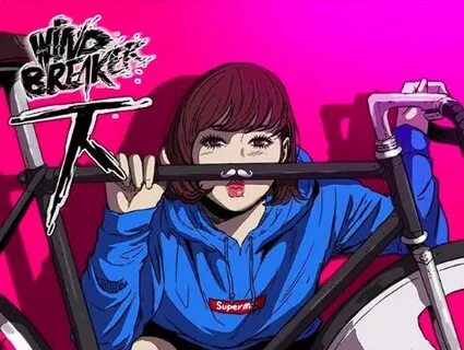 Wind breaker