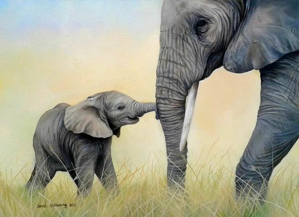 It s an elephant. Слон живопись. Два слона картина. Картина семья слонов. Покажи картину слона.