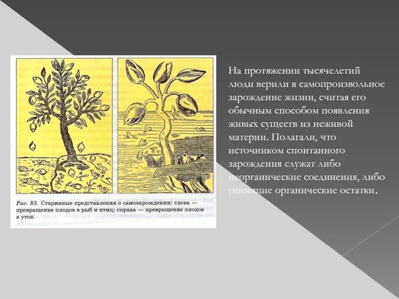 Гипотеза живое из неживого. Самопроизвольное Зарождение. Теория самопроизвольного зарождения жизни. Теория самозарождения жизни. Гипотеза самопроизвольного зарождения.