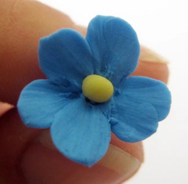 Незабудка myosotis myomark. Незабудка цветок из бумаги. Незабудка отливка. Серьги незабудки из полимерной глины. Незабудка голубая.