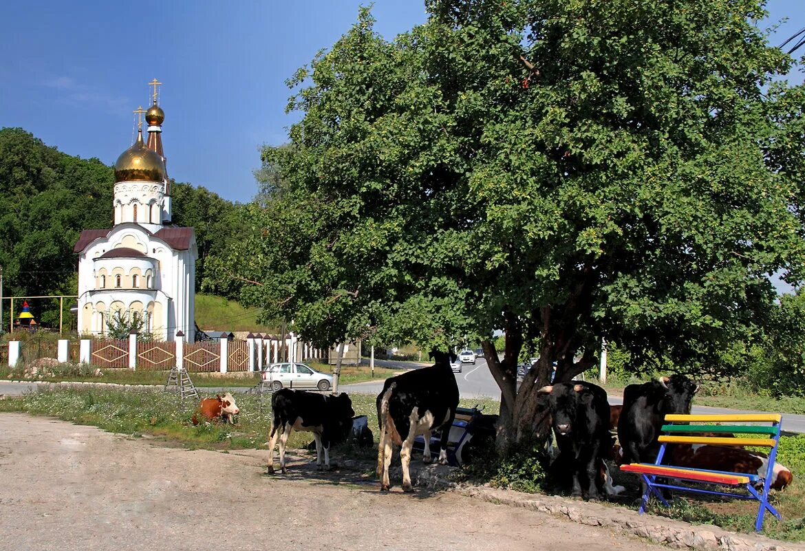 Погода солнечная поляна самарская обл. Солнечная поляна жигулевск. Погода солнечная поляна самарская обл. Жигулевск село солнечная поляна. Погода солнечная поляна самарская обл.