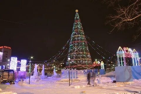 Новогодние березники