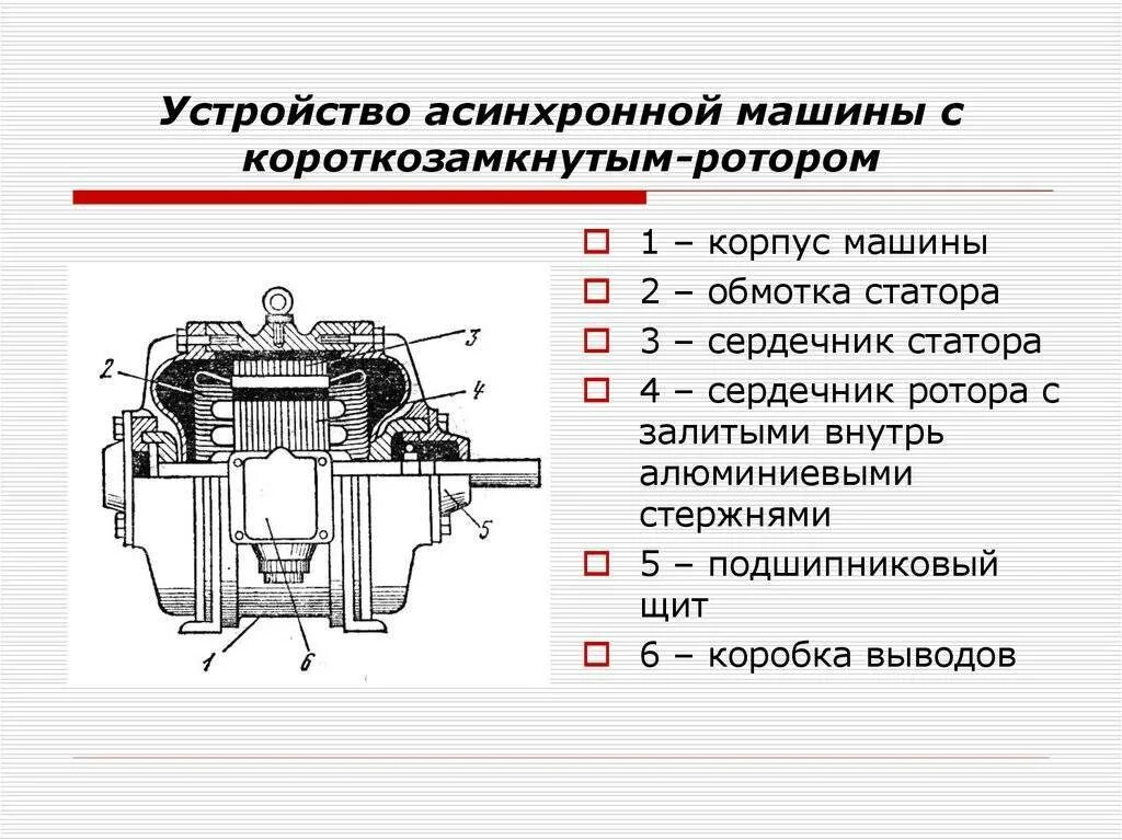 Устройство асинхронных. Устройство асинхронного двигателя с короткозамкнутым ротором. устройство асинхронного двигателя с короткозамкнутым ротором схема. ротор асинхронного электродвигателя с короткозамкнутым ротором. конструктивная схема асинхронной машины переменного тока.