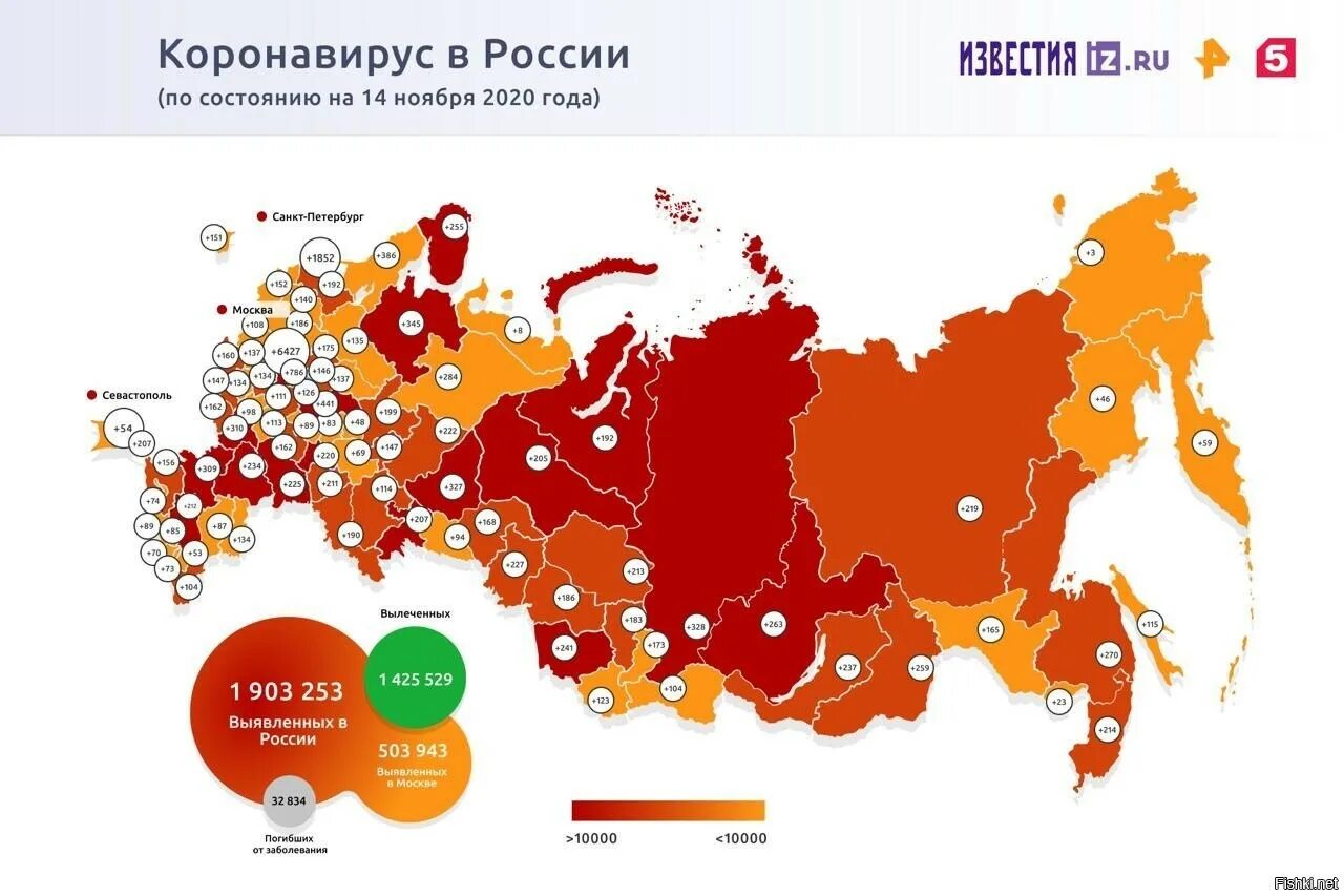 16 ноября 2025 г