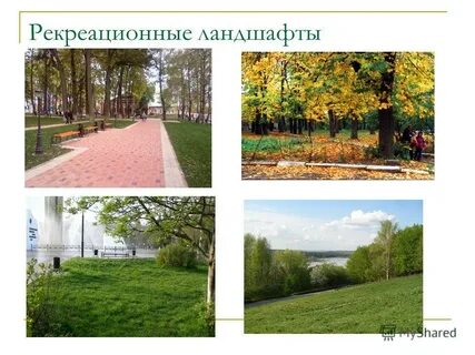 Рекреационный ландшафт примеры
