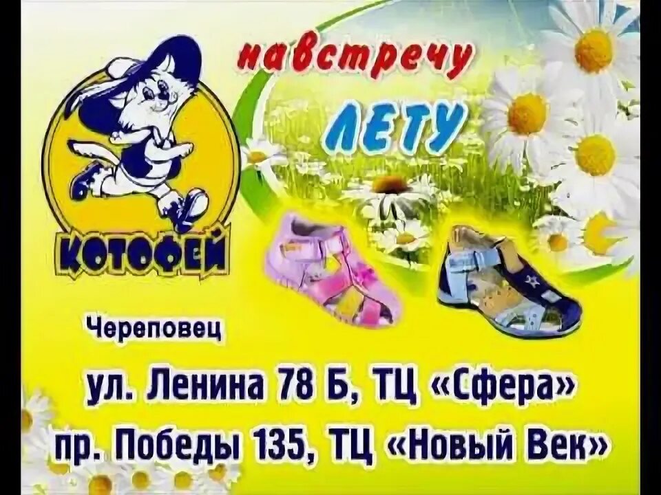 Котофей череповец