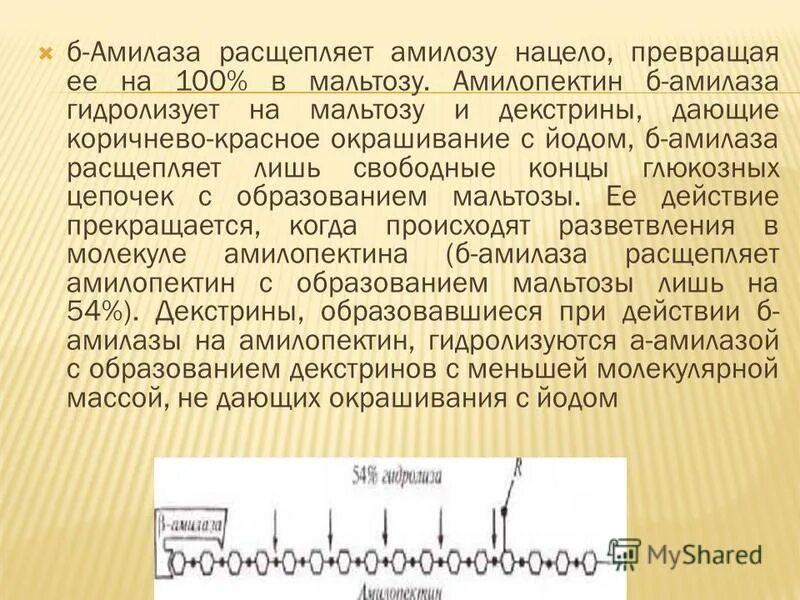 Определение амилазы мочи. Химическая структура амилазы слюны. α-амилаза. амилаза строение фермента. амилаза на что расщепляется.