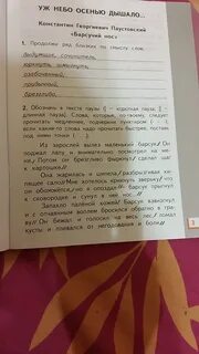 Обозначь в тексте паузы
