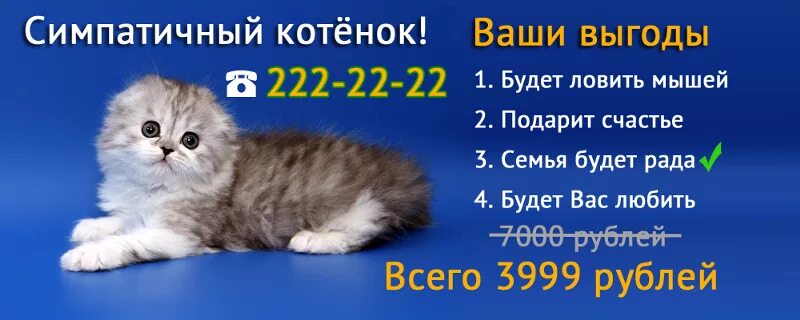 Что нужно чтобы сделать рекламу. Сделать рекламу. Как сделать рекламу. Реклама любого товара. Про что можно сделать рекламу.