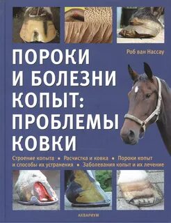 Книга пороки лэндэльфа