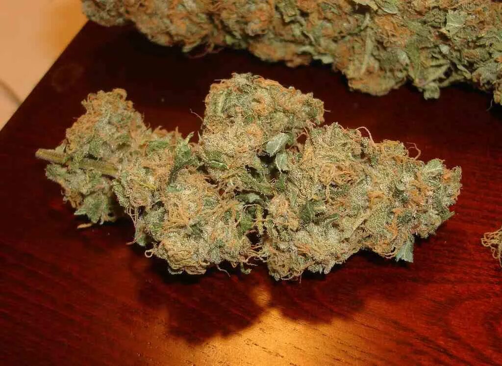 Шишки бошки конопля. Башка марихуаны. Как выглядит башка. Бошки марихуаны og kush. Как выглядит башка.